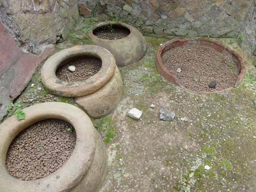 201005%20Card%2006%20678